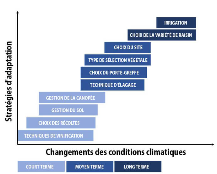 Adaptation strategies in changing climate conditions