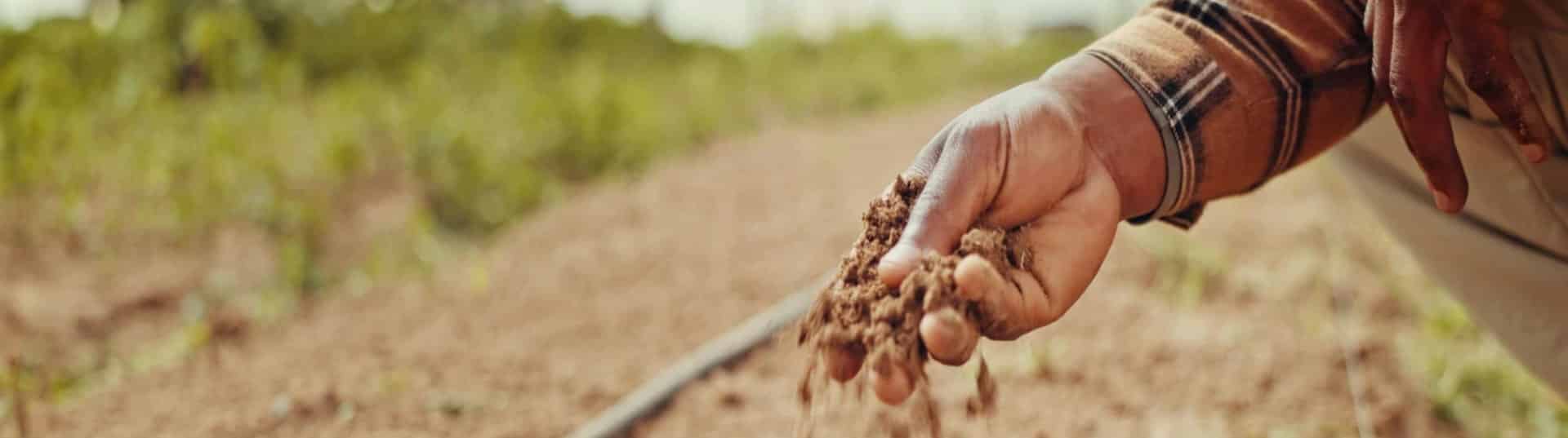 Le tueur silencieux de l&rsquo;irrigation goutte à goutte
