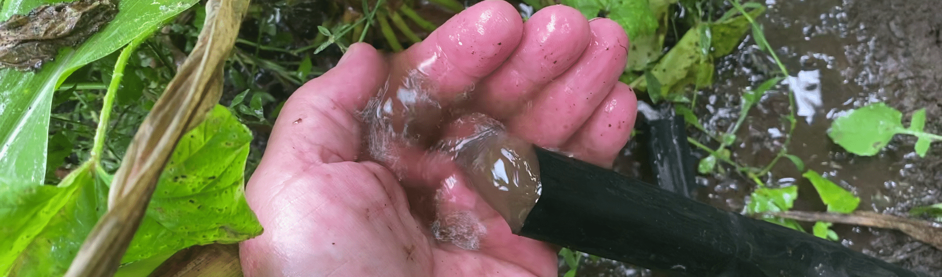 Pourquoi un mauvais rinçage de votre système d’irrigation goutte-à-goutte pourrait compromettre vos rendements